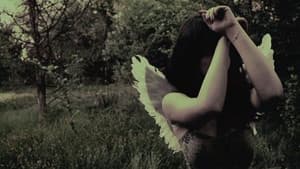 Ángeles de Medianoche — foto 1