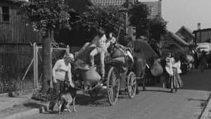 Podróż za jeden uśmiech — foto 5