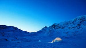 The Last Igloo — foto 3