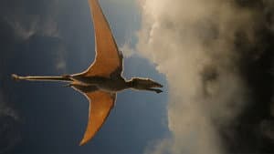 Los dinosaurios — foto 10