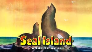 Seal Island — foto 4