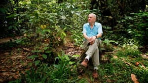 Attenborough: 60 Years in the Wild — foto 1