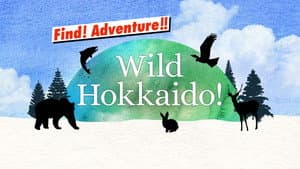 Wild Hokkaido! — foto 2