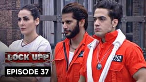 Episodio 37