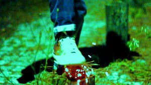 longseason — foto 12