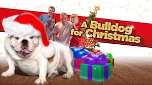 A Bulldog for Christmas — foto 1