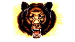 Bear Country — foto 3
