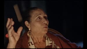 Aunque es de noche — foto 6