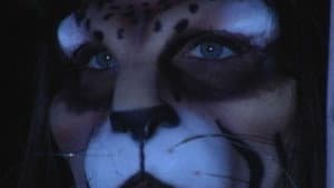 WildCat — foto 1