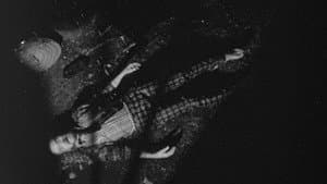 Bugs Without Morals — foto 2