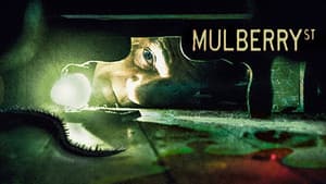 Mulberry Street — foto 2