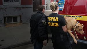 Philly Undercover — foto 3