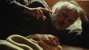 Ma Poule — foto 1
