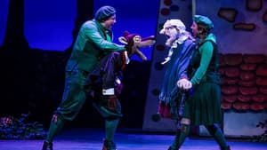 Sprookjesboom de Musical — foto 7