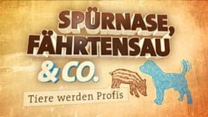 Spürnase, Fährtensau & Co. — foto 1