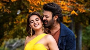 ది రాజాసాబ్ — foto 11