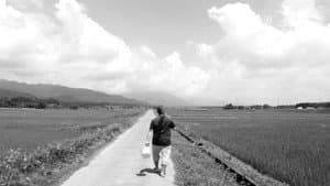 普通は走り出す — foto 1