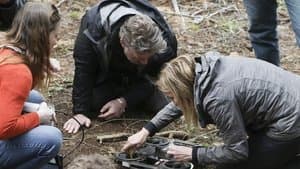Episodio 8