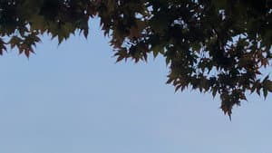 This Must Be the Place — foto 1