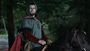 The Men of Sherwood Forest — foto 4