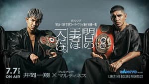 LIFETIME BOXING FIGHTS 22 — foto 1