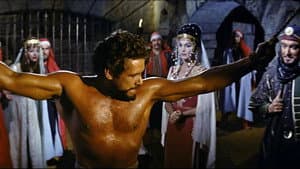 Il figlio dello sceicco — foto 11