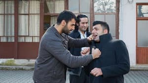 Episodio 7