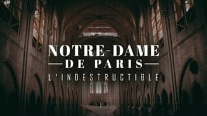 Notre-Dame de Paris, l'indestructible — foto 1