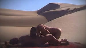 Island Fever — foto 1