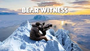 Bear Witness — foto 7