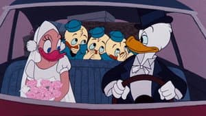 Donald's Diary — foto 1