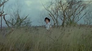 Senggol-Senggolan — foto 1