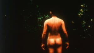 Jerovi — foto 3