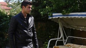 Episodio 7