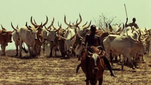 Touki-Bouki — foto 5