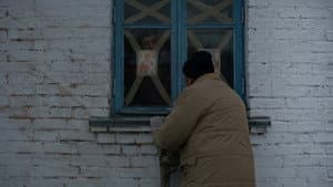 Сірі бджоли — foto 12