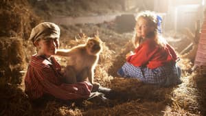 Monkey Business — foto 1