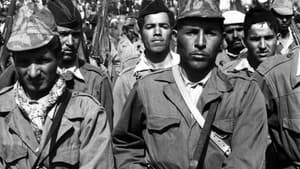 Guerre aux images en Algérie — foto 1