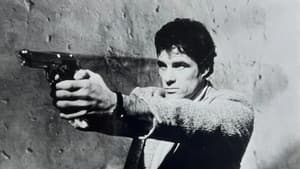 Il cugino americano — foto 1