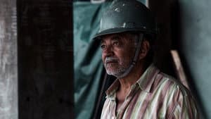 Zé Tonho — foto 1