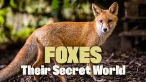 Foxes: Their Secret World — foto 3