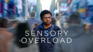 Sensory Overload — foto 1