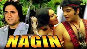 Nagin — foto 1