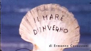 Formato ridotto - Libere riscritture del cinema amatoriale — foto 1