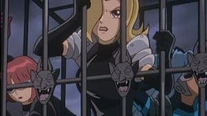 Episodio 29