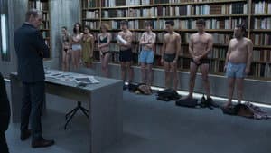 Los traductores — foto 4