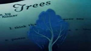 Trees — foto 1