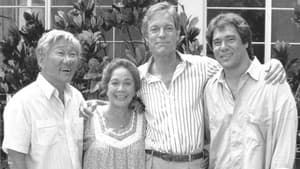 Island Son — foto 1