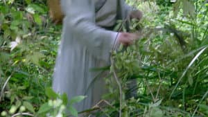 Episodio 8