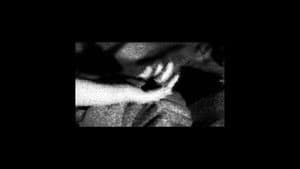 AA-PROXIMA-SUN — foto 5